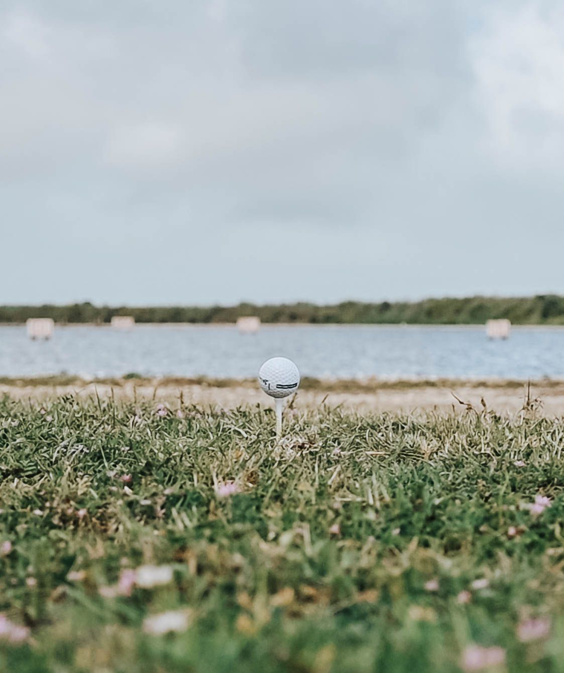 Golf ball on tee against lakeside backdrop with grass and wildflowers in foreground.