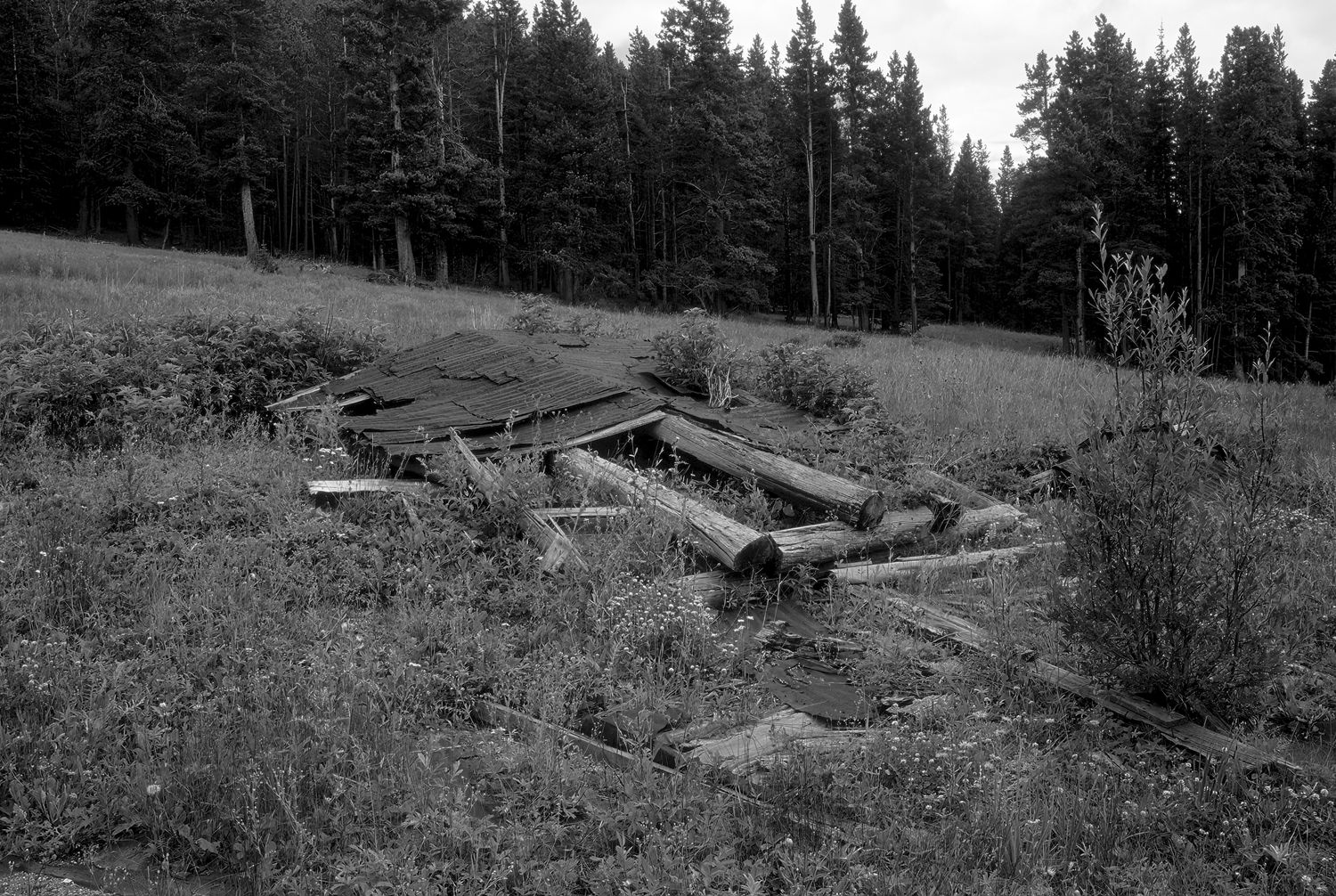 Alice, Colorado