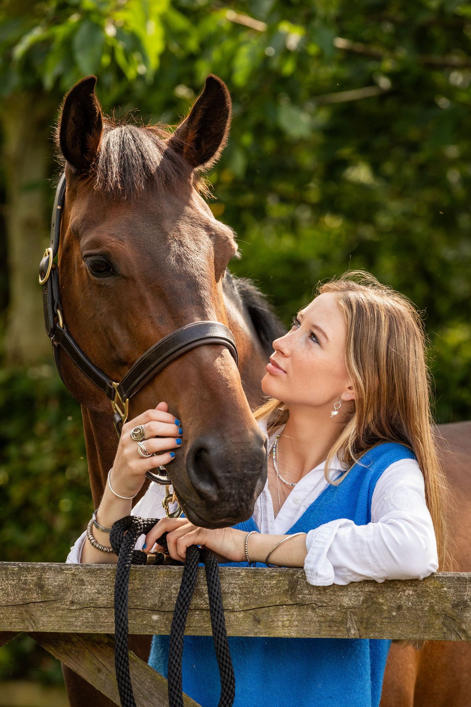 A close-up view of a brown horse against a green natural background.