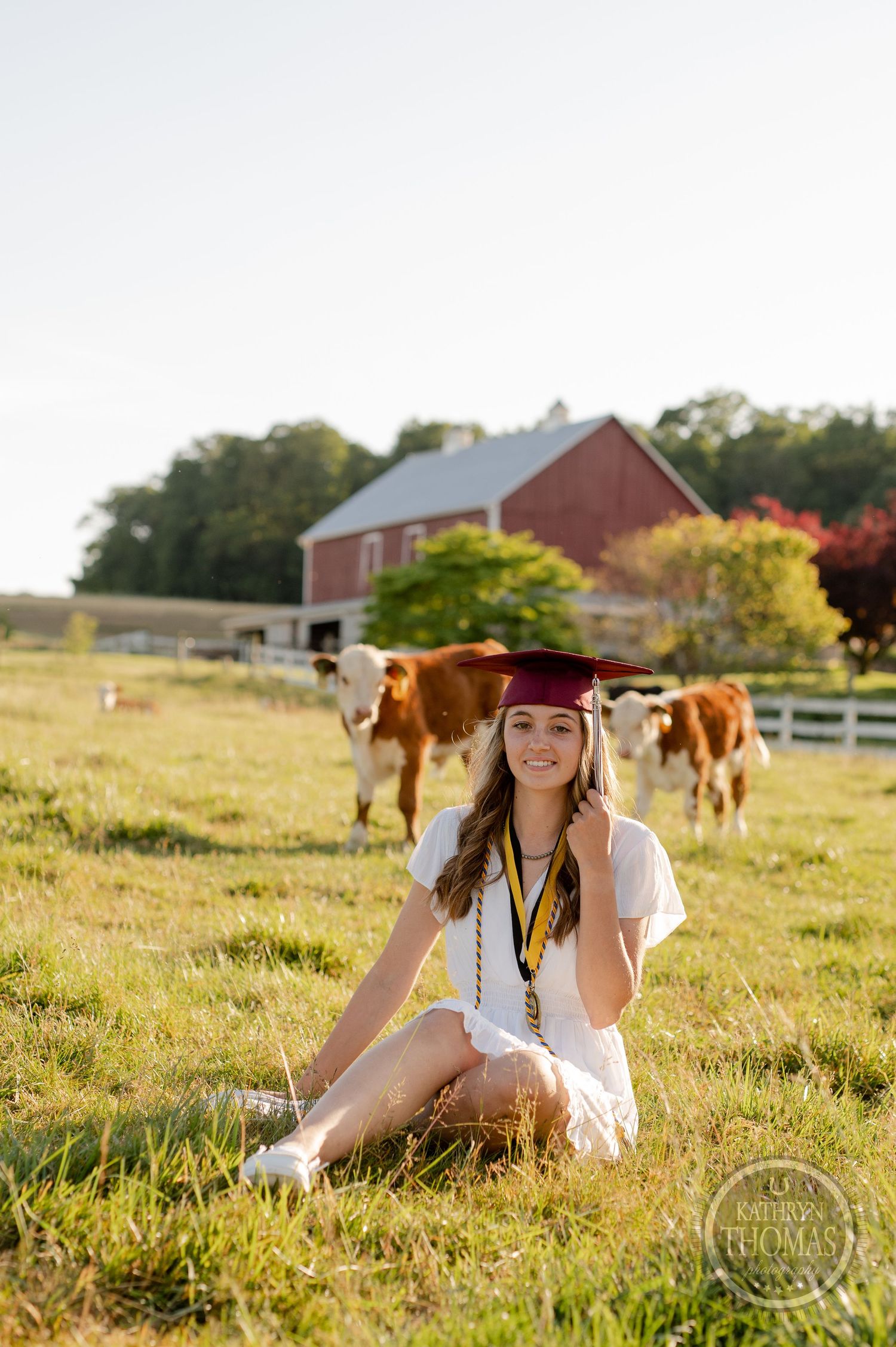 Graduate in red cap poses in field with rustic barn and Hereford cattle in golden sunset lighting.