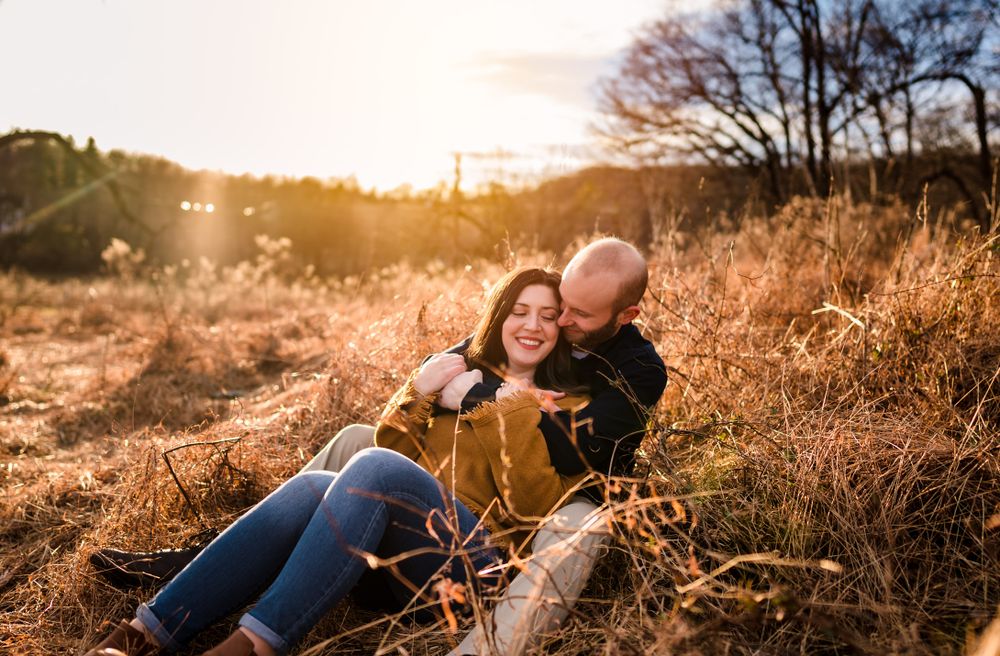Golden hour sunlight illuminates a natural field setting.