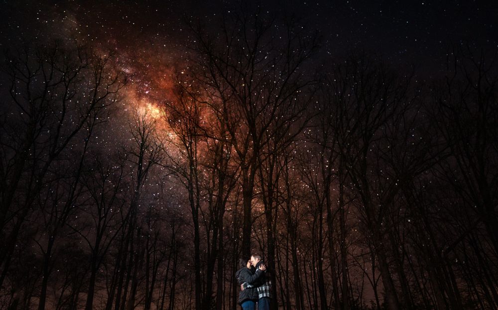 Silhouettes of trees against a dramatic night sky illuminated by fireworks.