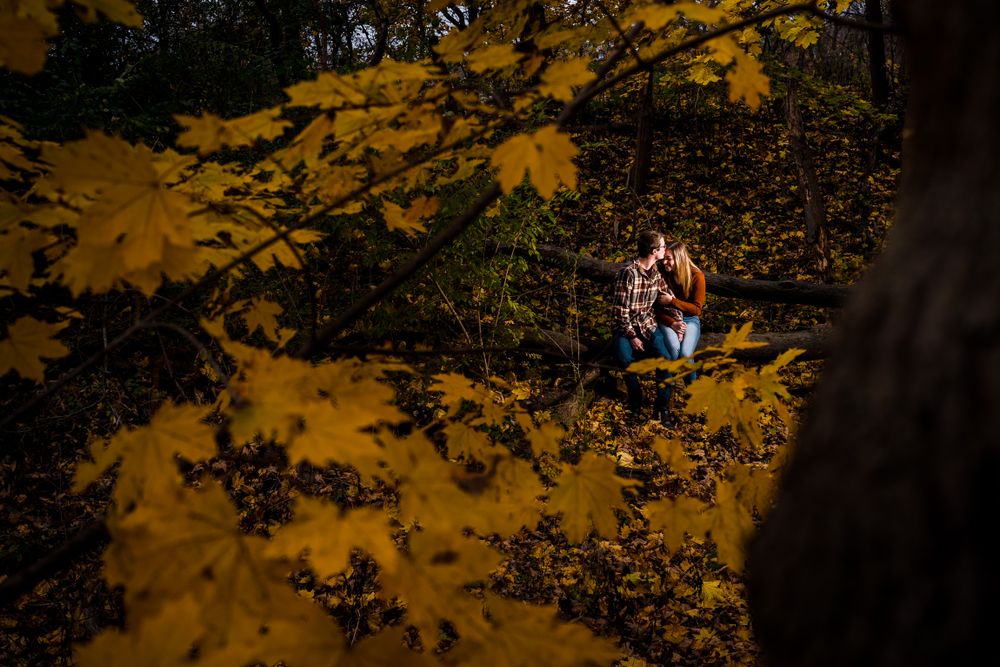 Autumn engagement photos with golden leaves creating a warm, romantic atmosphere.