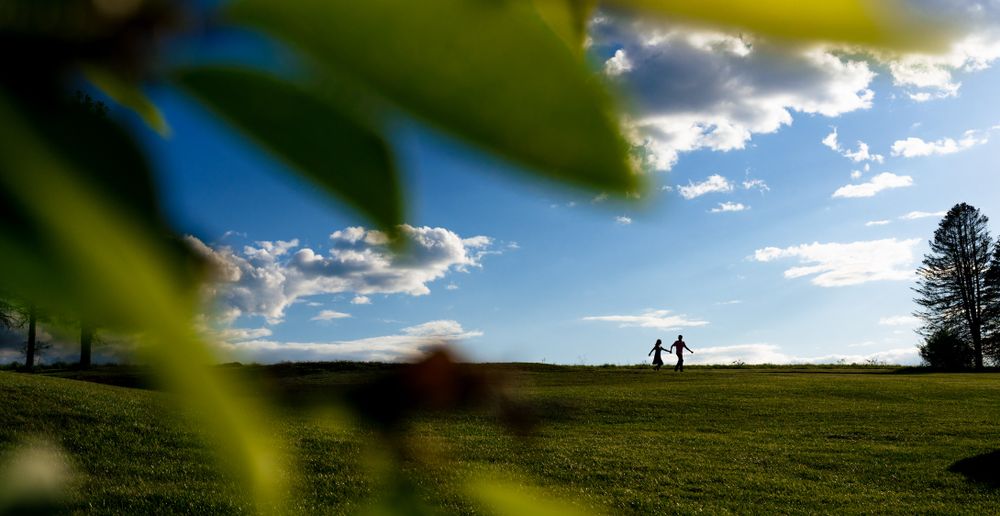 Silhouettes against a bright blue sky with fluffy clouds in an open field.