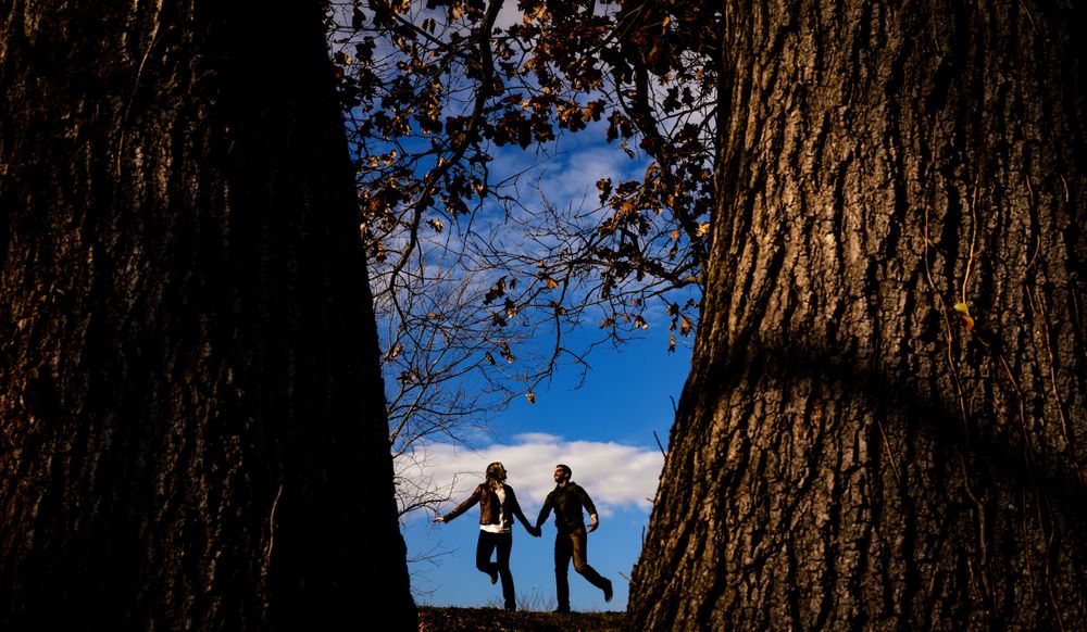 Silhouettes of tree trunks frame a blue sky with white clouds.