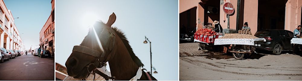 Des souvenirs inoubliables de votre famille dans le Gard, grâce à Photographie & Moi