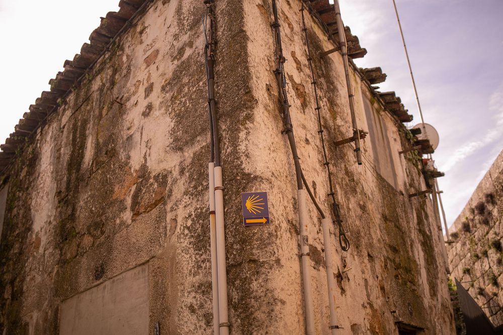 fotografa-batizado-zi-fernandes-portugal