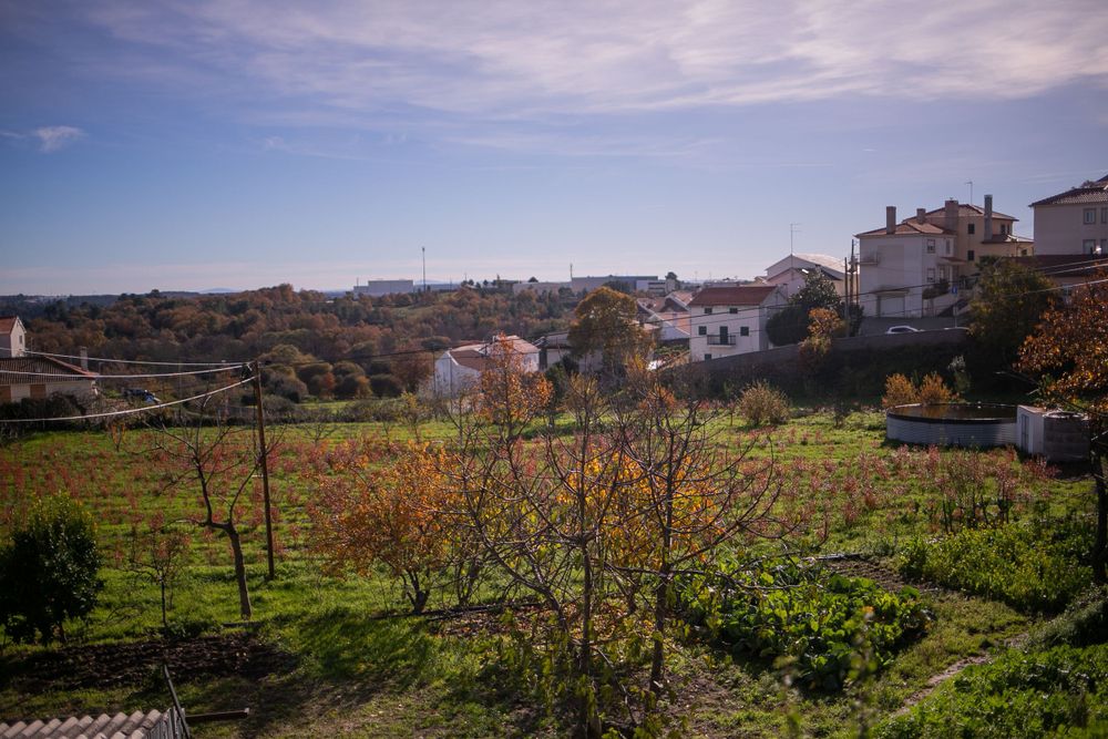 fotografa-batizado-zi-fernandes-portugal
