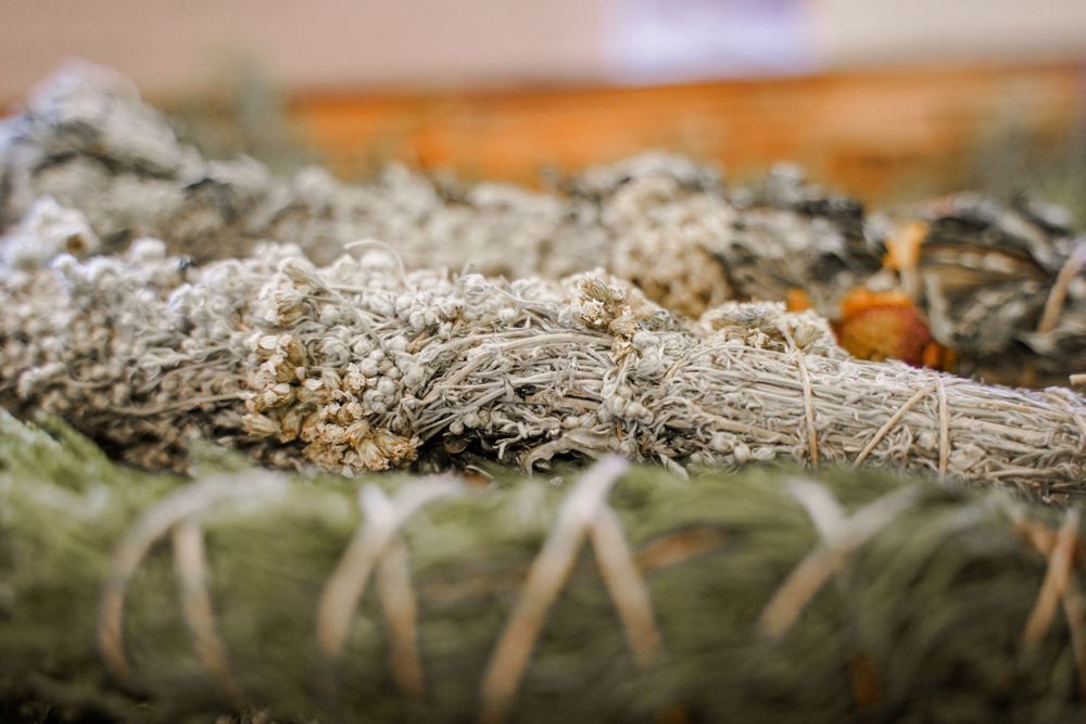 Natural wood texture with moss and lichen growing on a fallen log.