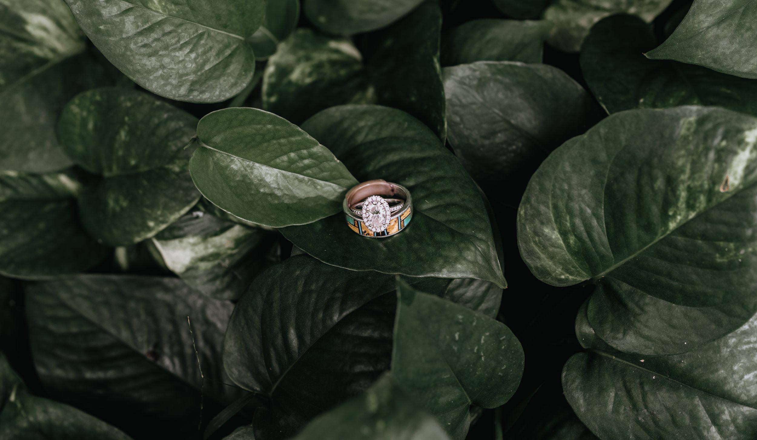 Destination wedding detail photos (4 of 11)