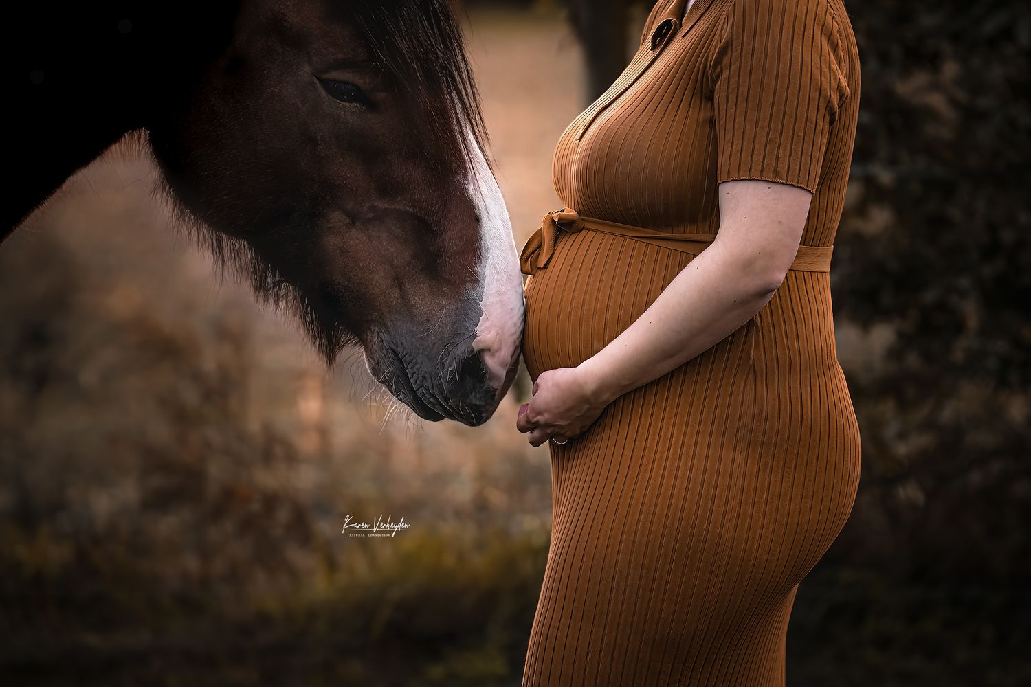 zwangerschap fotografie met paard connectie KarenVerheydenPhotography Antwerpen België
