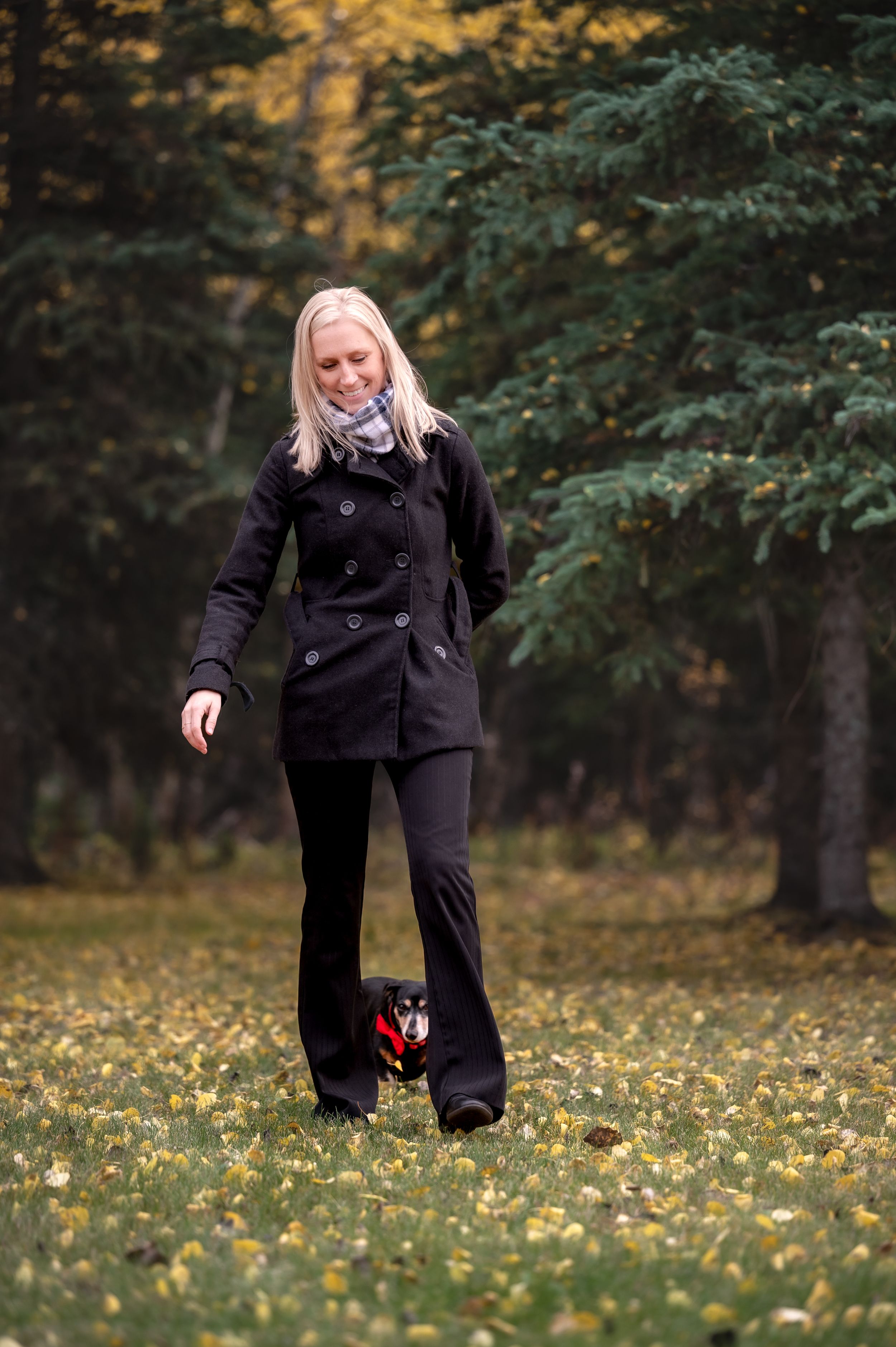 A fall scene showing a walk through fallen leaves with a small black dog in a wooded area.