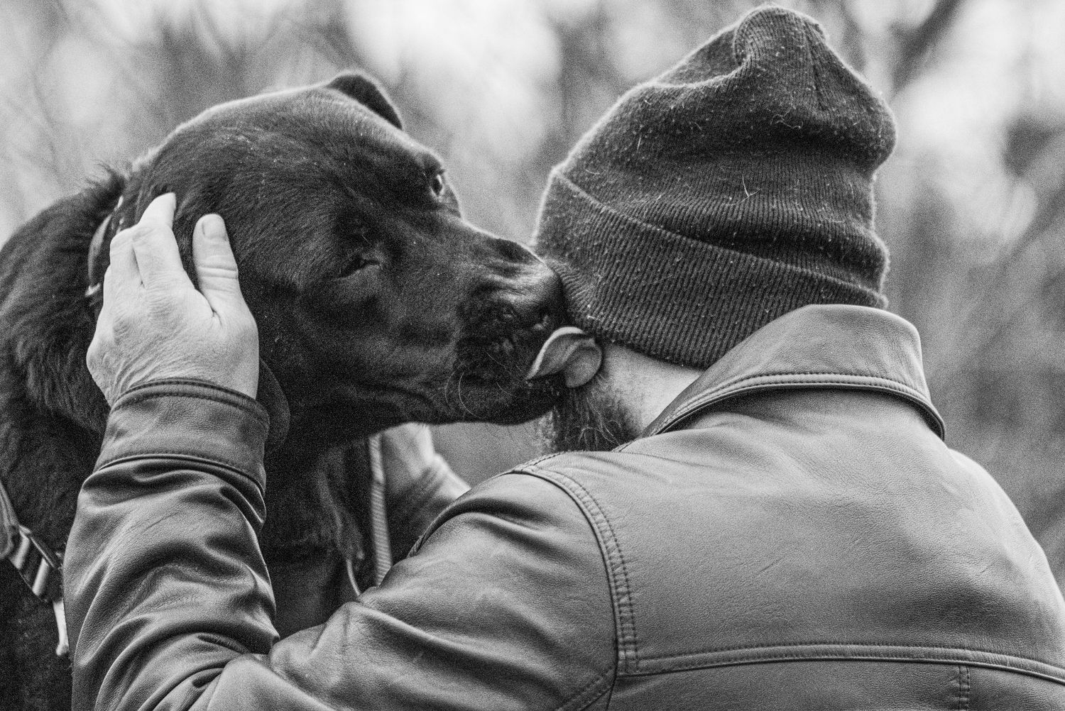 Black and white photo of a bearded man in a beanie tenderly touching foreheads with his dark Labrador dog. Pet Photographer in Maine