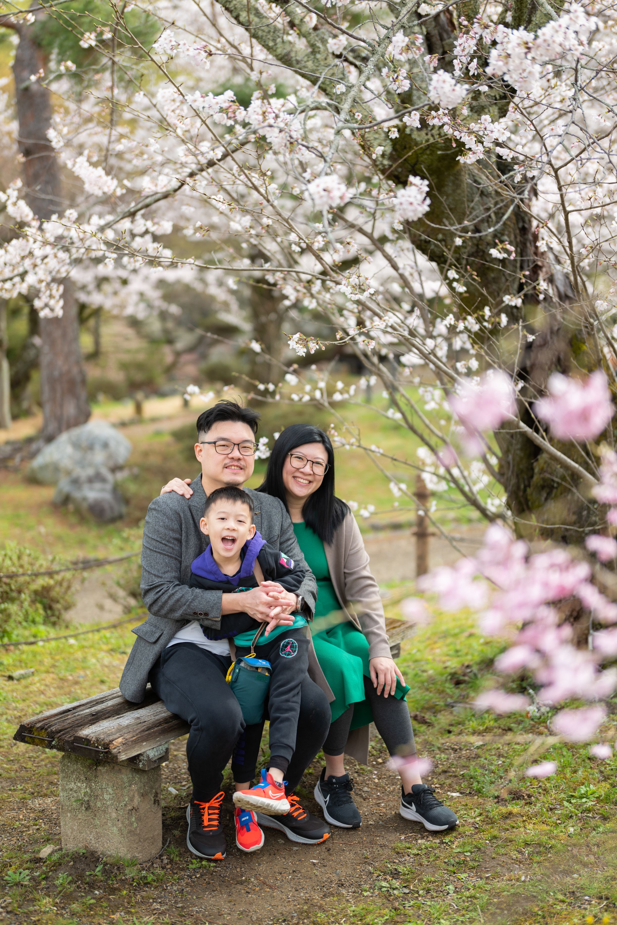 Happy family of three sitting on stone bench under beautiful blooming cherry blossom trees.