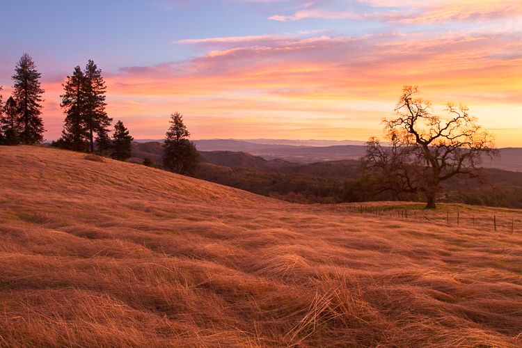 Henry Coe State Park at Sunset, California