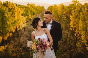 Wedding couple poses in golden autumn vineyard at sunset.