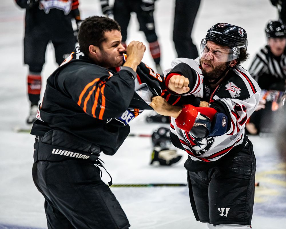 hockey live sports arena puck goal score sports fight