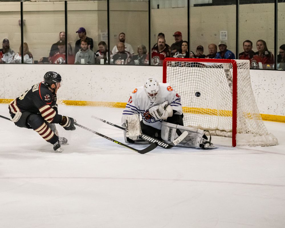 hockey live sports arena puck goal score sports fight