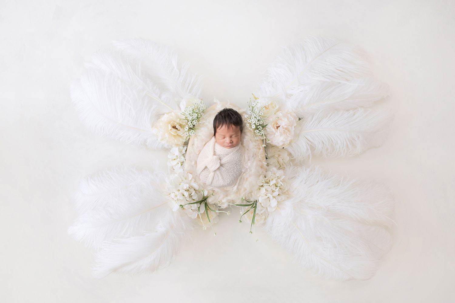 digital background art newborn photography butterfly feather flowers photo wrapped bundle provo utah