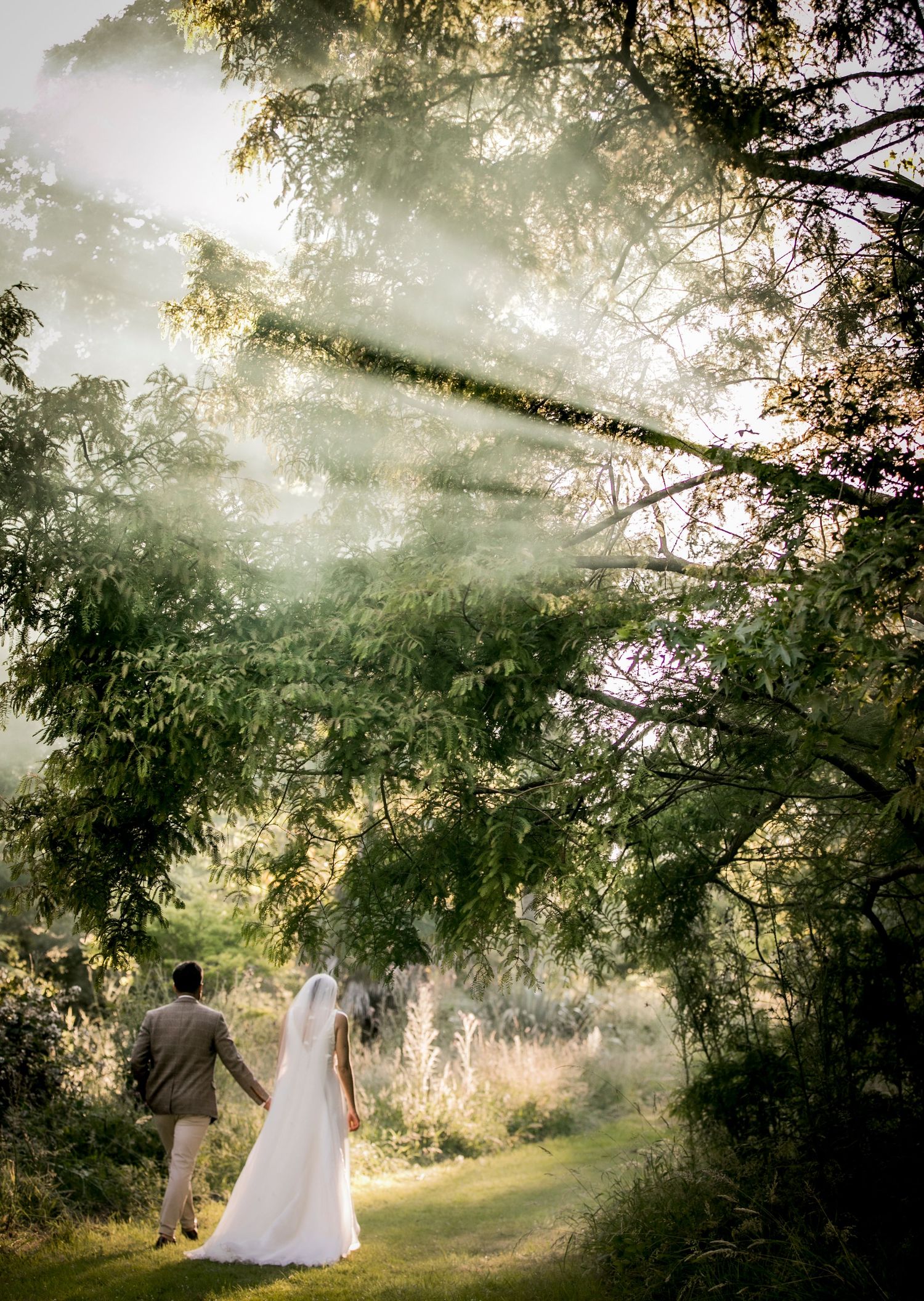 A newlywed couple walks hand in hand through a sunlit garden path with dreamy backlit trees.