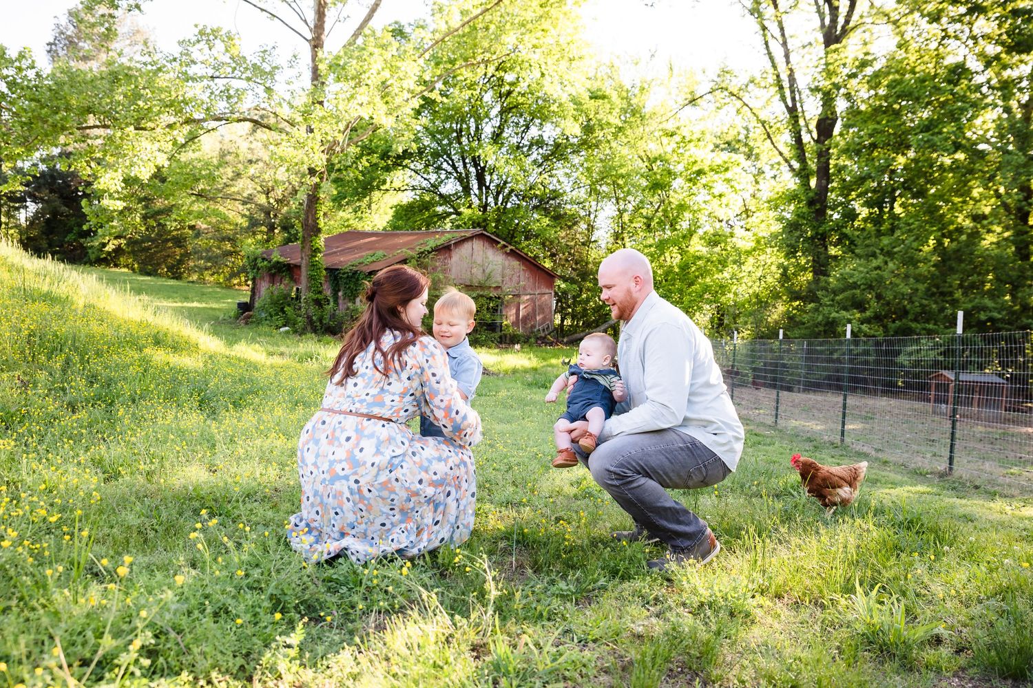 Mini Farm Photos in Memphis, TN area
