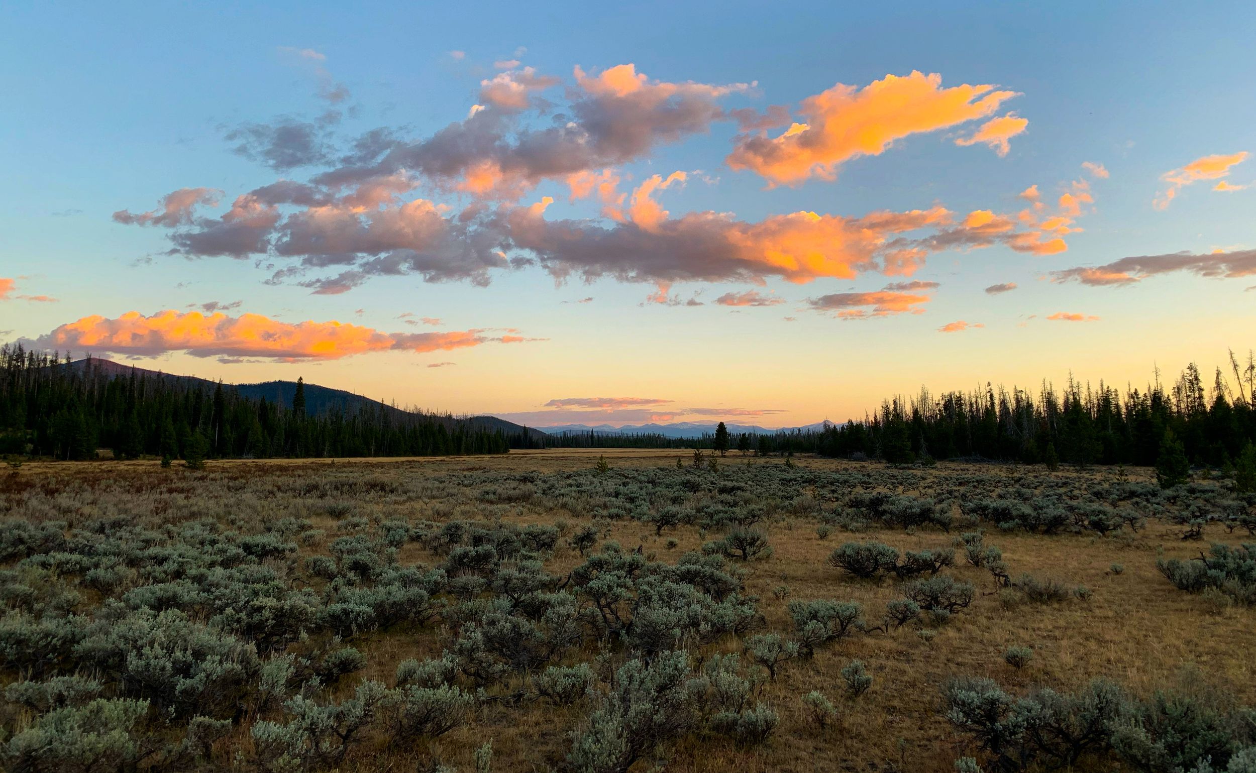 Rocky Mountain