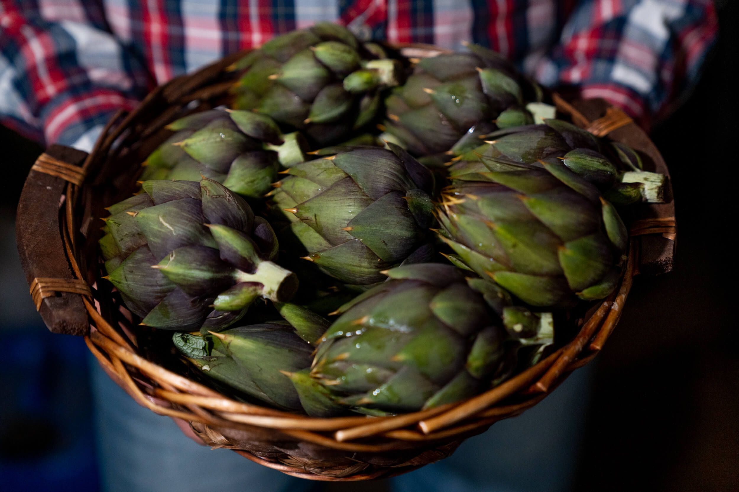 carciofi spinosi di Sardegna Serramanna