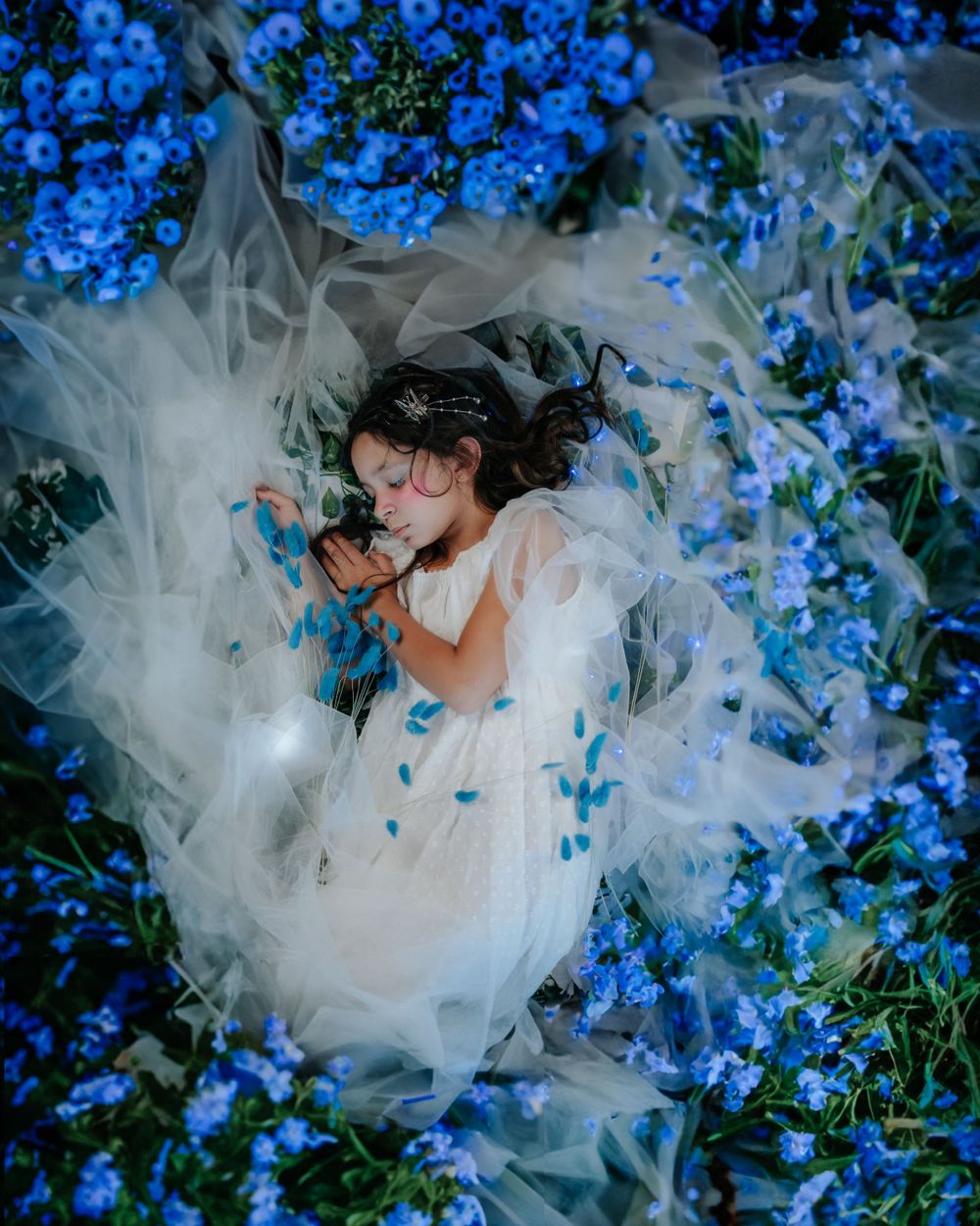 portrait photographer carson city photographer, reno photographer, washoe photographer, lake tahoe photographer,