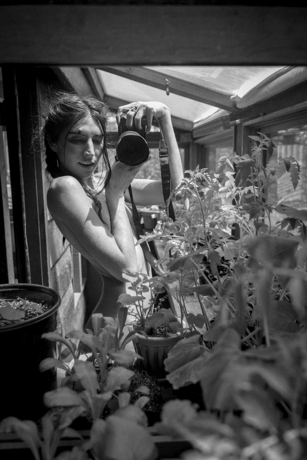 Black and white image of person photographing plants in a greenhouse setting.
