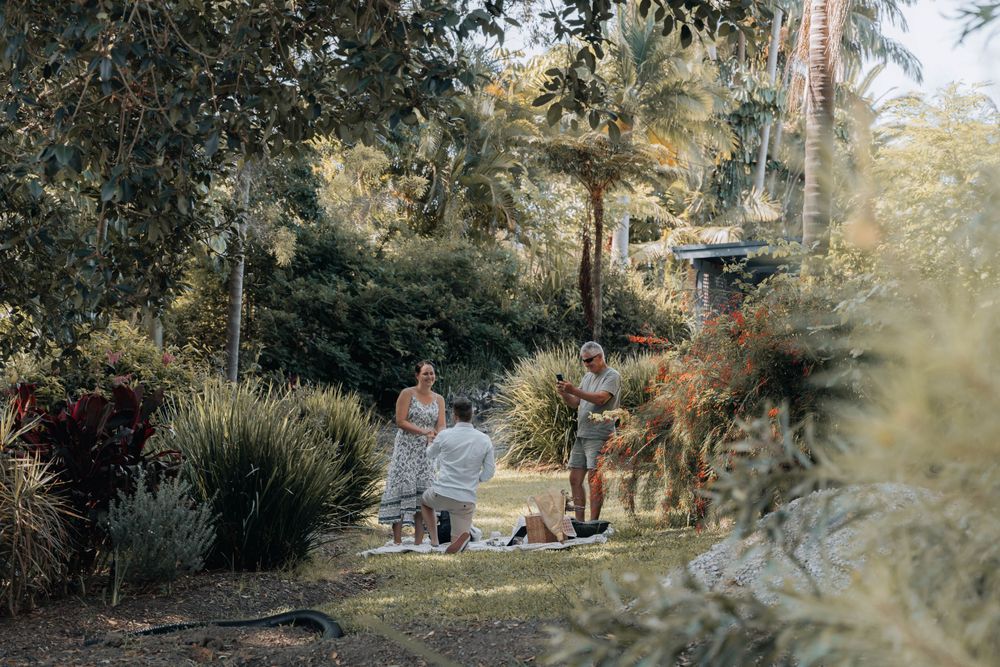 A scenic garden path with ornamental grasses and natural landscaping.