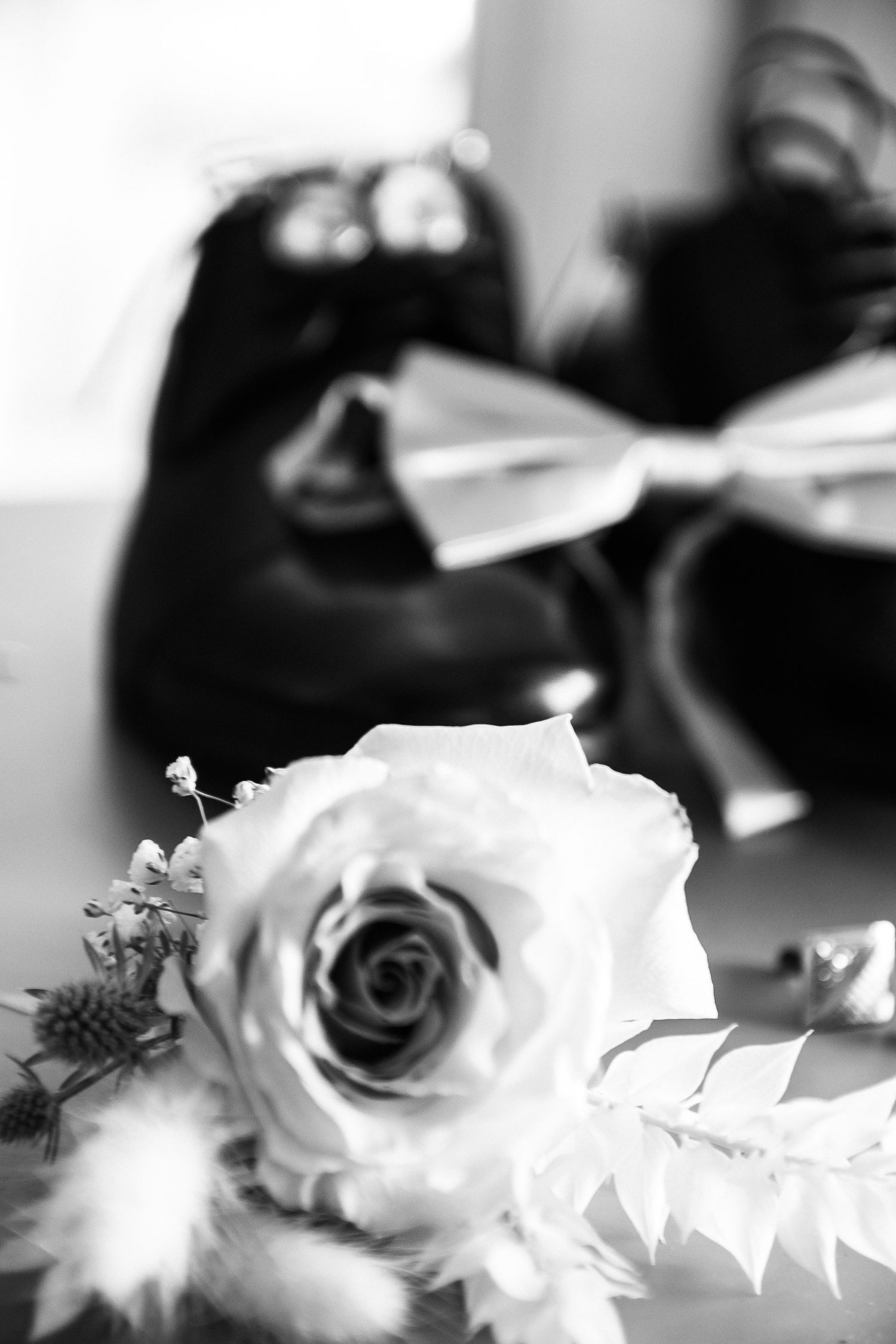 Elopement Fig and Olive Photography