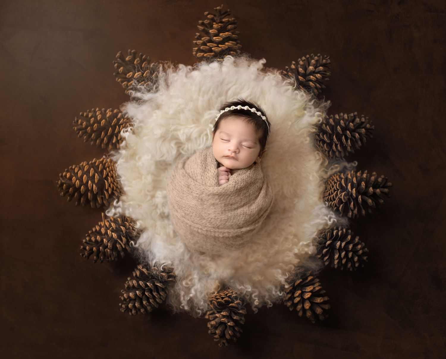 Newborn baby wrapped in beige blanket surrounded by pinecones in artistic overhead composition.
