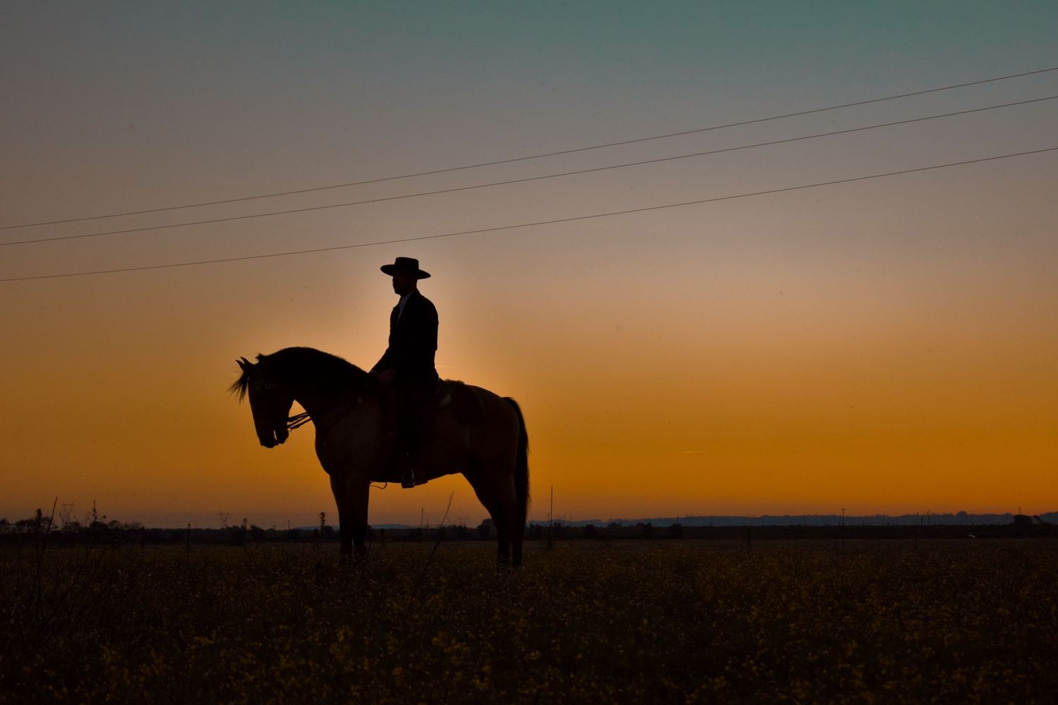 homem a cavalo ao por do sol