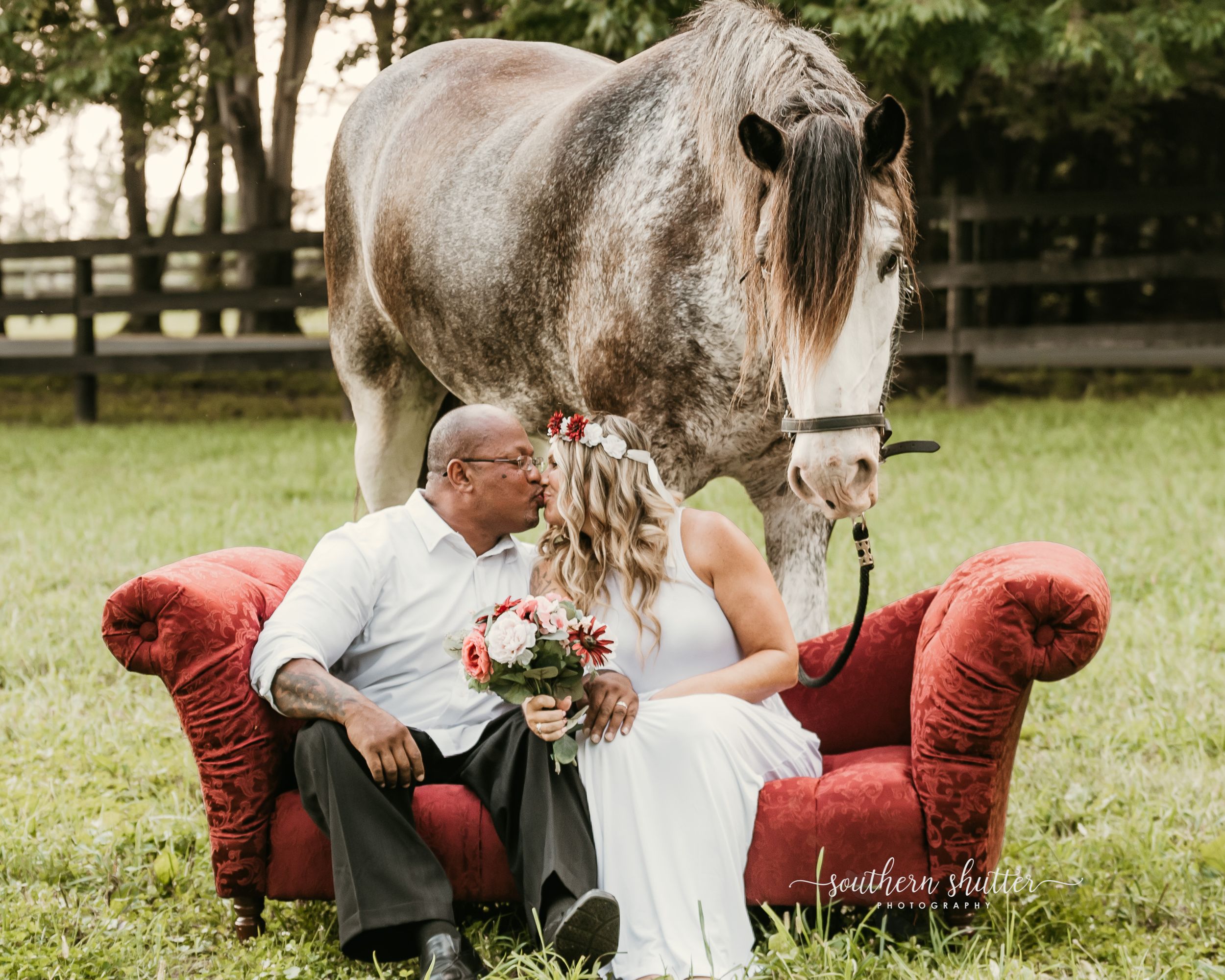 A couple sits on a red velvet couch in a field while a large grey horse stands behind them in an outdoor setting.