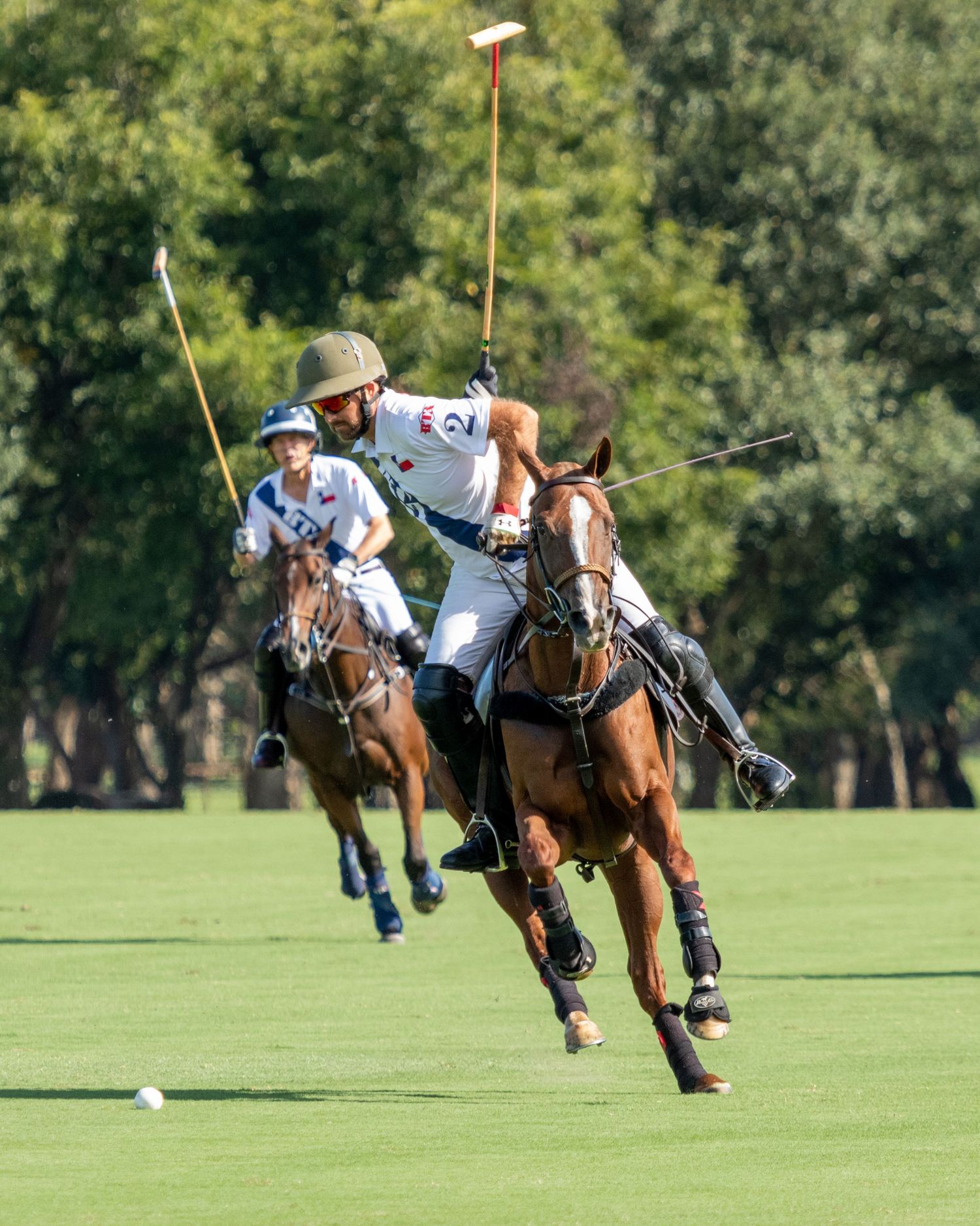 Polo