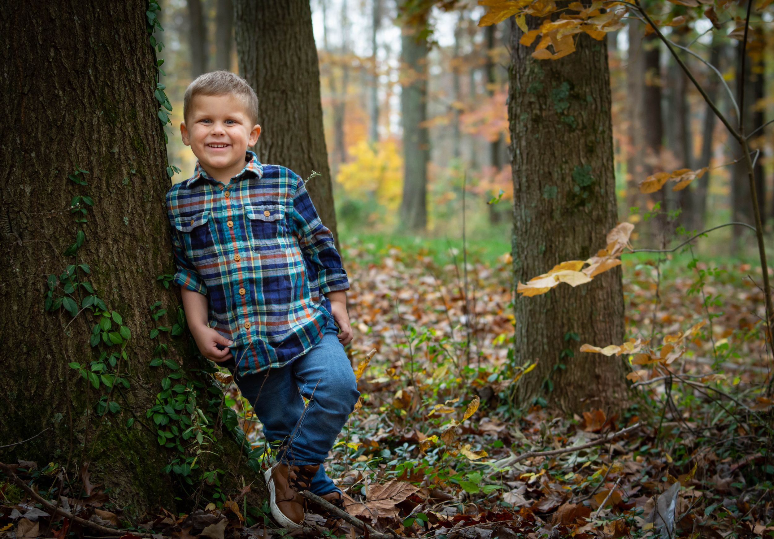 Young child in plaid shirt leaning against tree trunk in autumn forest with fallen leaves. Family Photographer Batavia Cincinnati Ohio