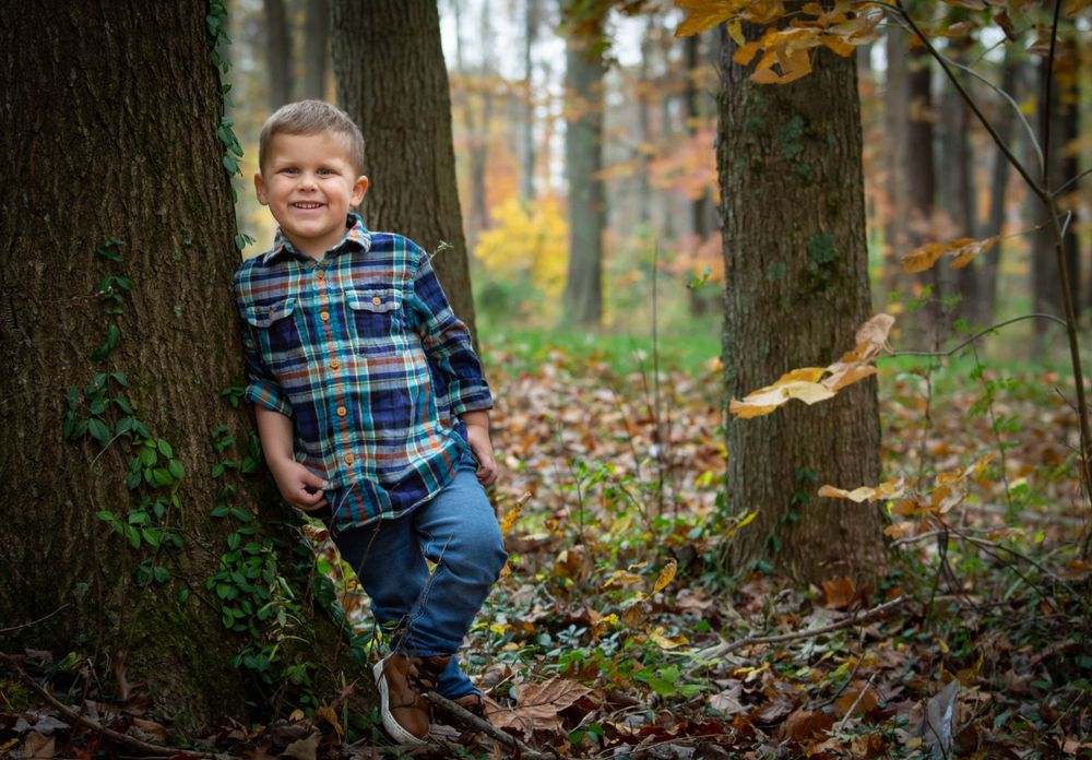 Young child in plaid shirt leaning against tree trunk in autumn forest with fallen leaves. Family Photographer Batavia Cincinnati Ohio