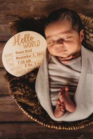 Newborn baby boy in basket photo. Annapolis newborn photographer
