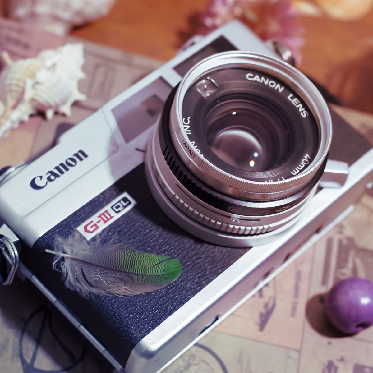 Insights Behind the Lens Blog © Copyright. Dragon Papillon Photography. All rights reserved.