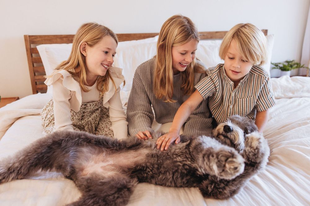 Family members petting a large shaggy dog while relaxing on a bed.