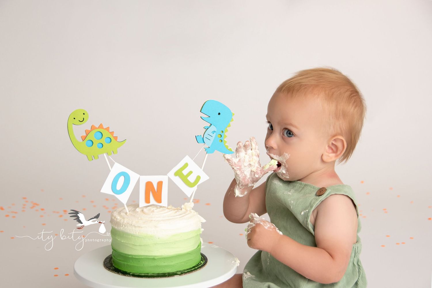 Dinosaur Cake Smash One Year Cleveland Ohio Photographer