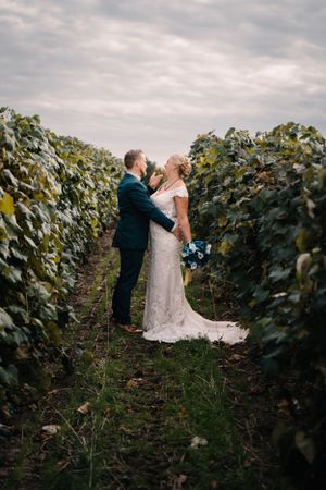 Full-length wedding photo of couple standing between rows of grapevines under cloudy sky.