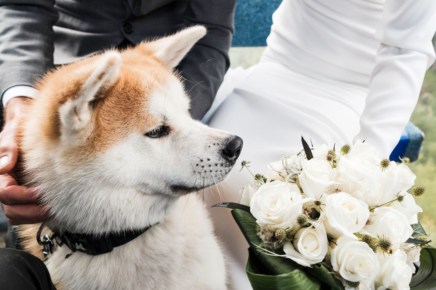 TLOOK photographe de mariage de style documentaire, Chetzeron à Crans-Montana portraits dans les montagnes
