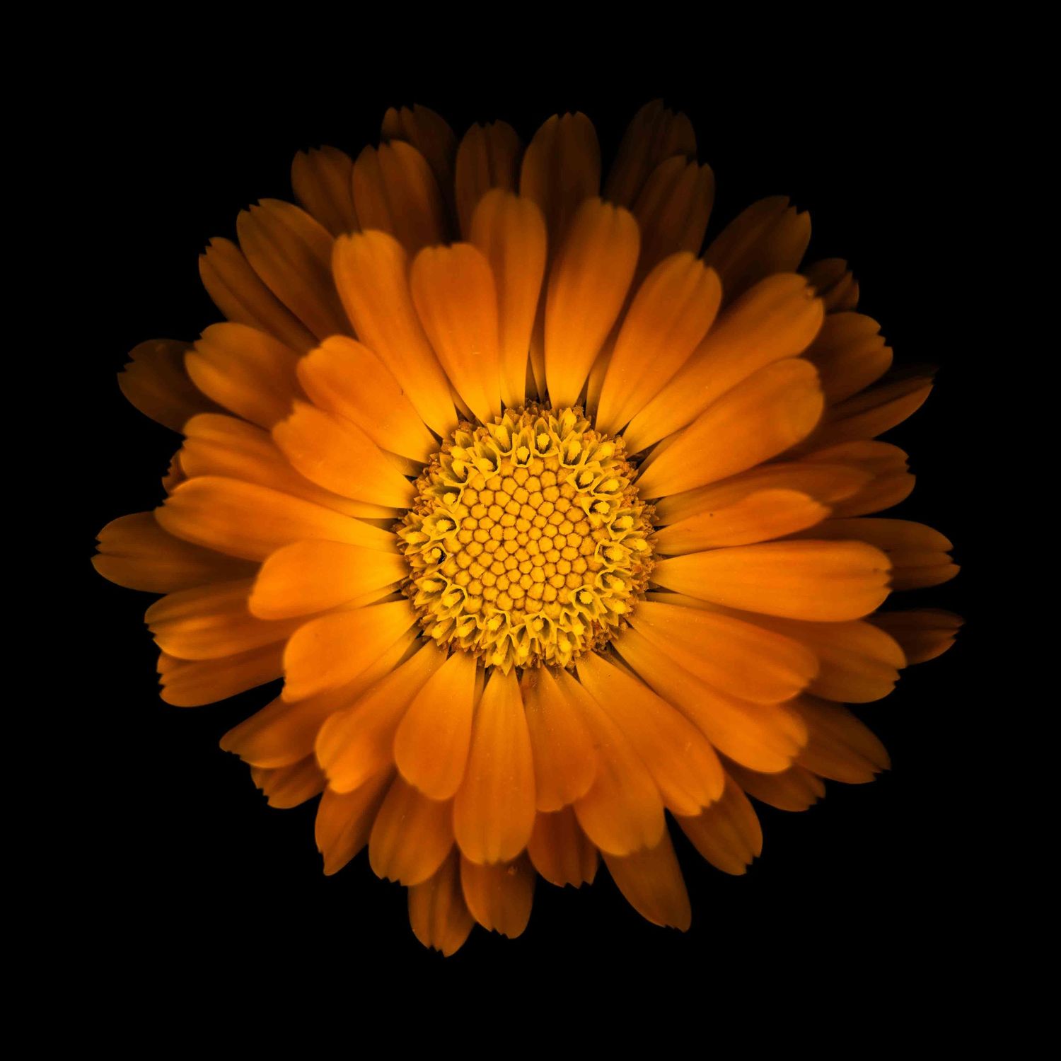 John Peters Photography