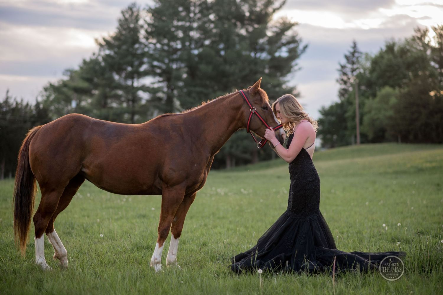 A heartwarming moment between a chestnut horse and its companion in a black formal dress at sunset.