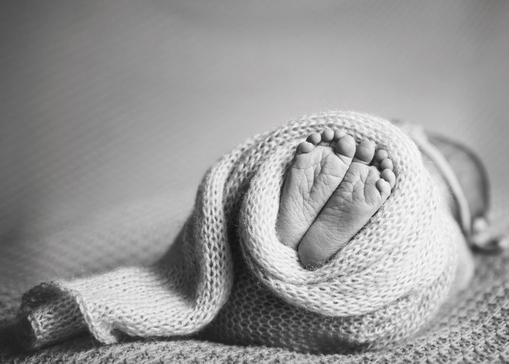 wildflowers photography best newborn photography baby feet michigan