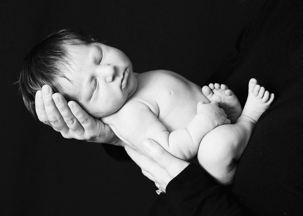 wildflowers photography best newborn photography dearborn