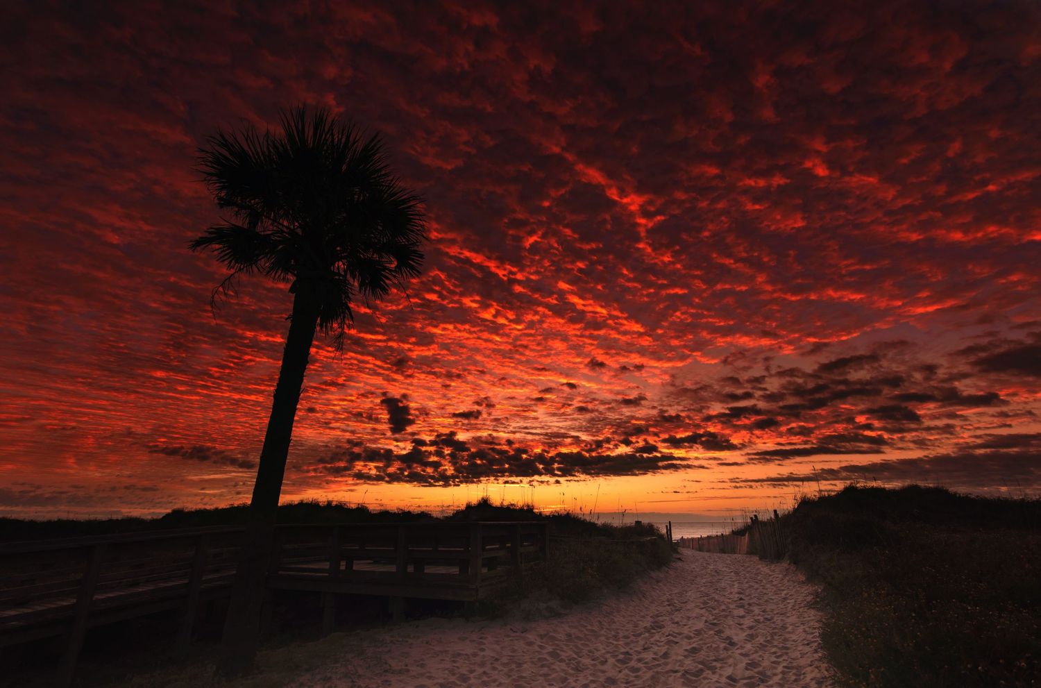 Dramatic red sunset sky with silhouetted trees along horizon.