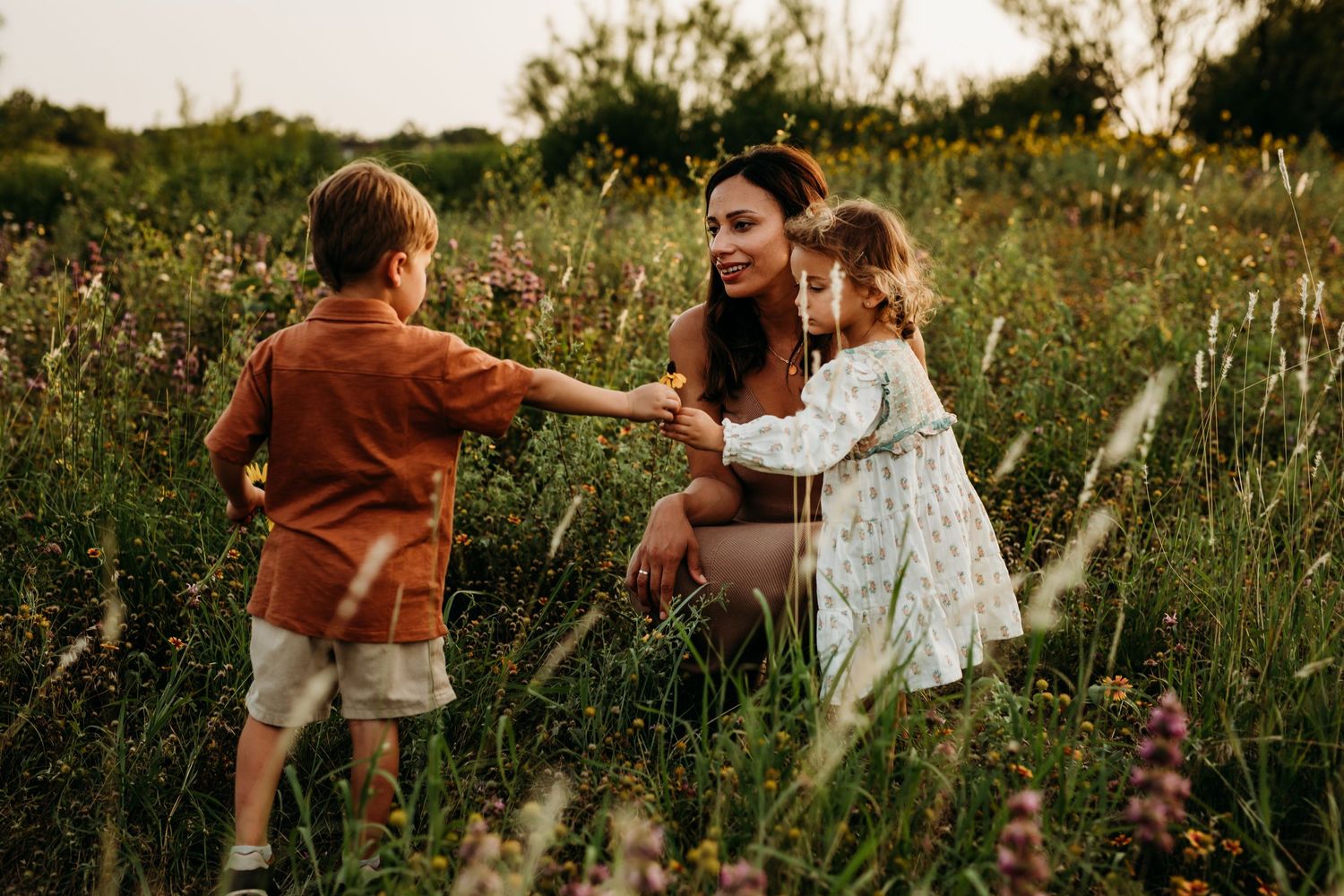 family pictures in wildflowers in New brunfels Texas