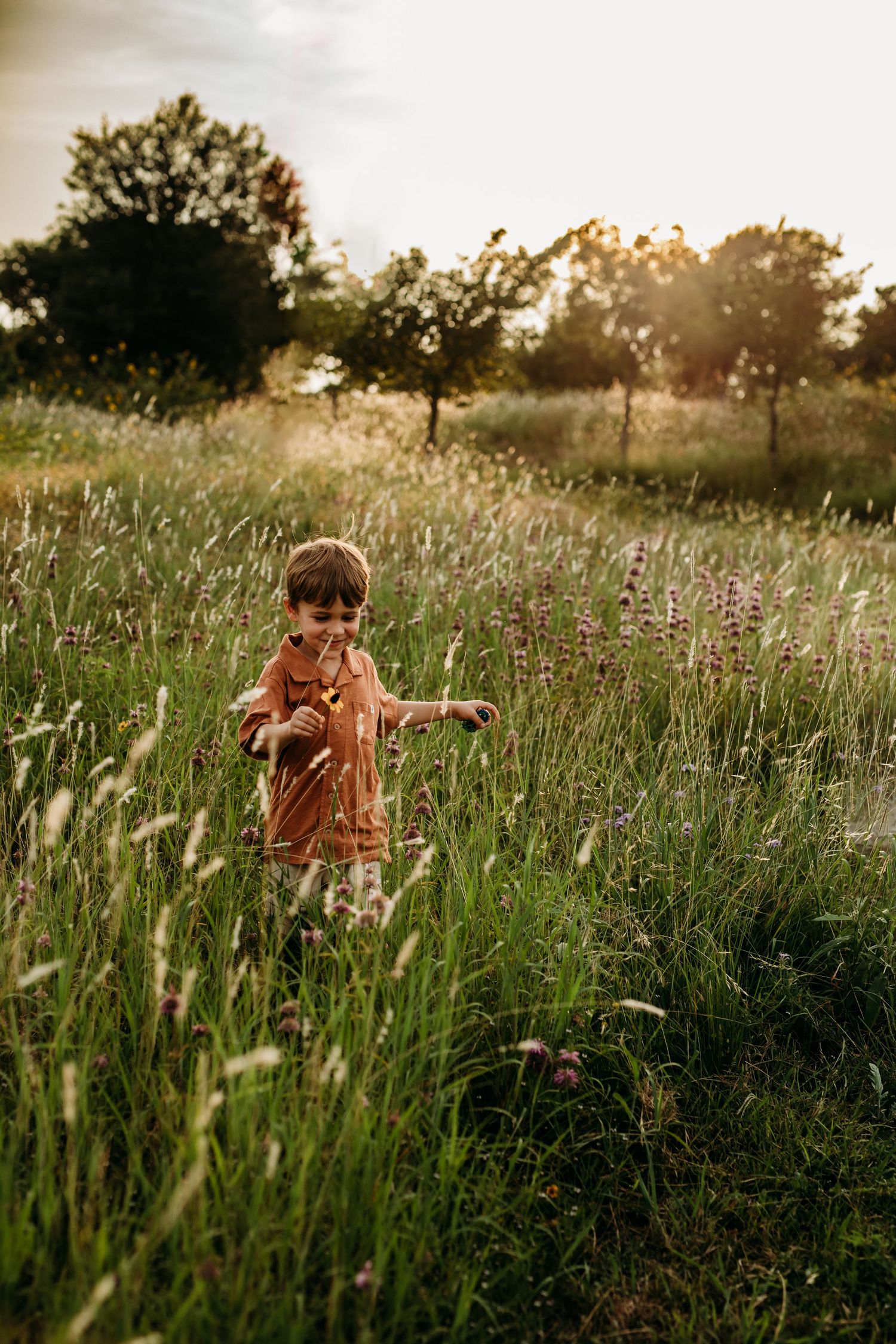 family pictures in wildflowers in New brunfels Texas